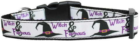 Witch & Famous Nylon Dog Collar
