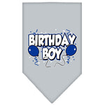 Birthday Boy Bandana